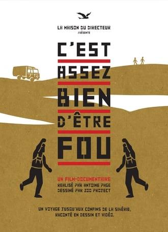 C'est assez bien d'être fou (2018)