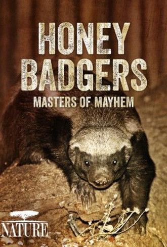 Honey Badgers: Masters of Mayhem (2014)
