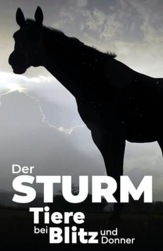 Der Sturm - Tiere bei Blitz und Donner (2023)