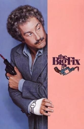 The Big Fix (1978)