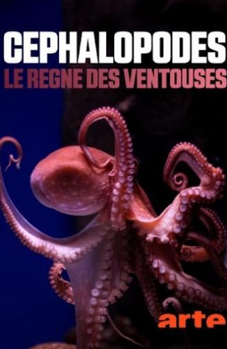 Cephalopods: The Reign of Suckers (2020)