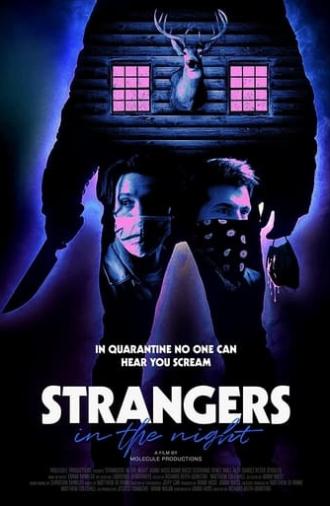 Strangers in the Night (2021)