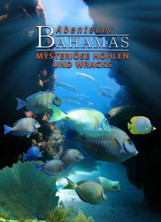 Adventure Bahamas 3D - Mysterious Caves And Wrecks (2012)