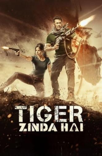 Tiger Zinda Hai (2017)