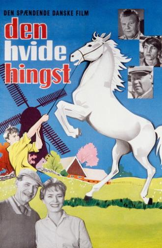 The Boy Who Loved Horses (1961)