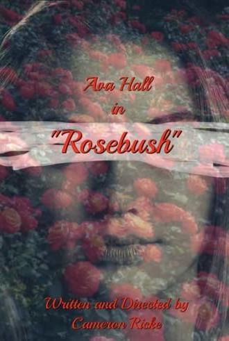 Rosebush (2024)