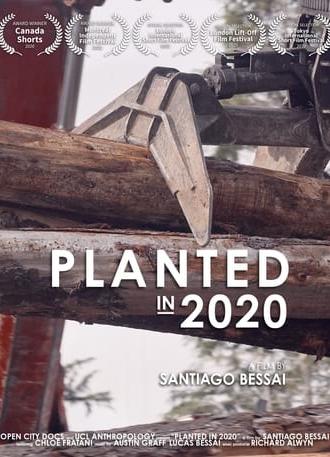 Planted in 2020 (2020)