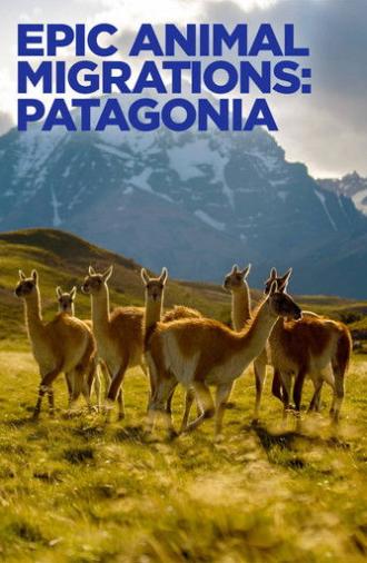 Epic Animal Migrations: Patagonia (2023)