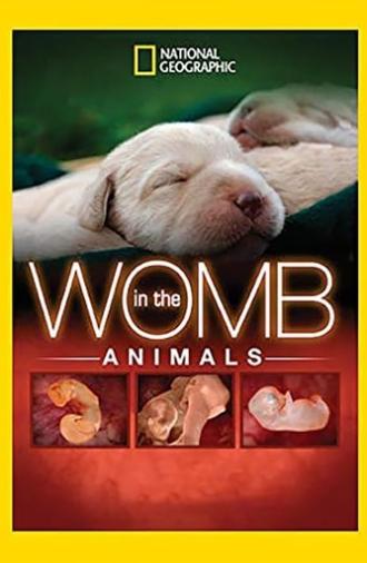 In The Womb: Animals (2006)