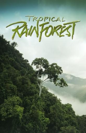 Tropical Rainforest (1992)