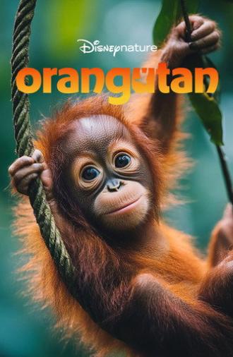 Orangutan (2026)