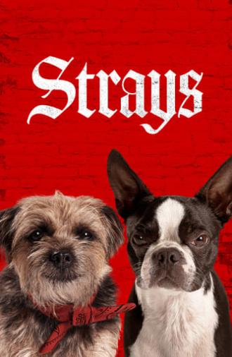 Strays (2023)