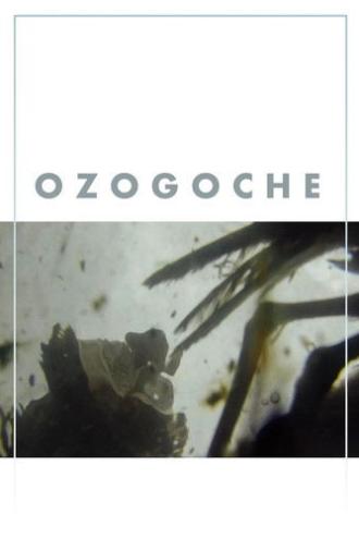 Ozogoche (2023)