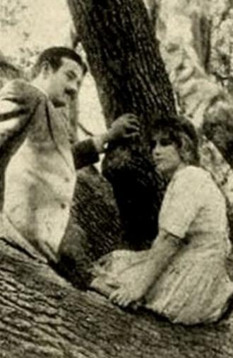The Girl of the Grove (1912)
