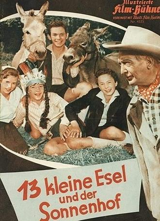 13 Little Donkeys and the Sun Court (1958)