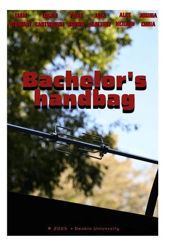 Bachelors Handbag (2025)