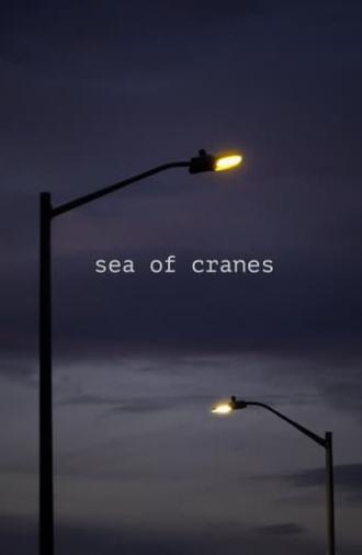 Sea of Cranes (2021)