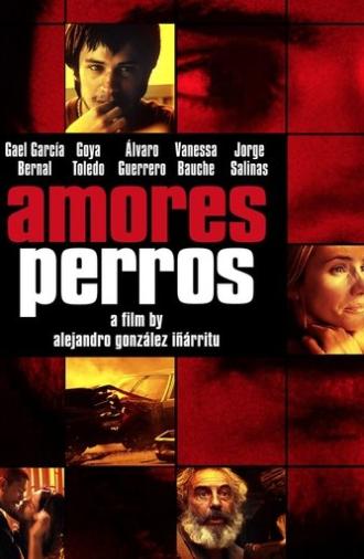 Amores Perros (2000)