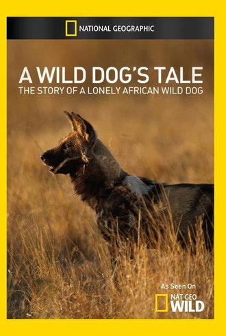 Solo: A Wild Dog's Tale (2013)