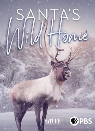 Santa's Wild Home (2020)