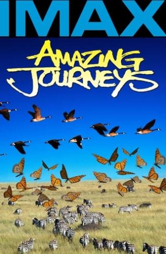 Amazing Journeys (1999)