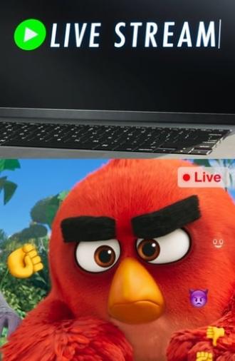 Angry Birds: Live Stream (2019)