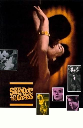 Splendor in the Grass (1961)