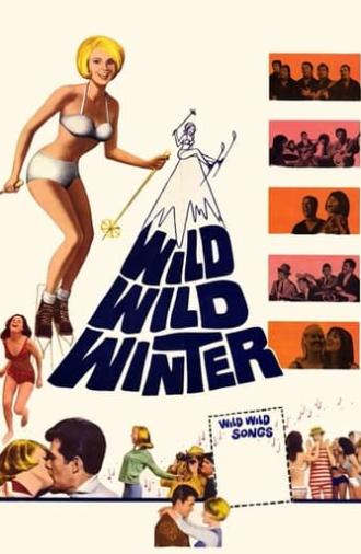 Wild, Wild Winter (1966)