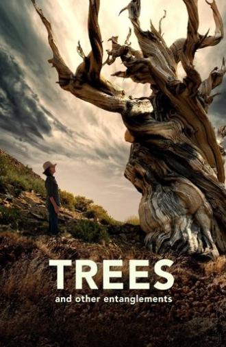 Trees and Other Entanglements (2023)