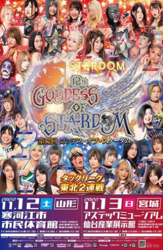 Stardom 12th Goddesses of Stardom Tag League in Sendai (2022)
