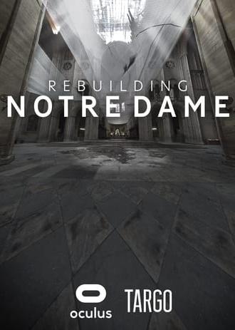 Rebuilding Notre Dame (2020)