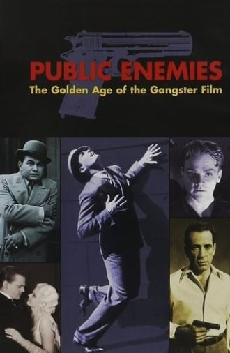 Public Enemies: The Golden Age of the Gangster Film (2008)