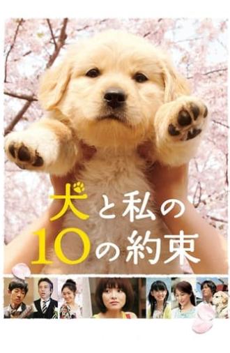 10 Promises to My Dog (2008)