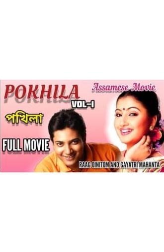 Pokhila (2008)