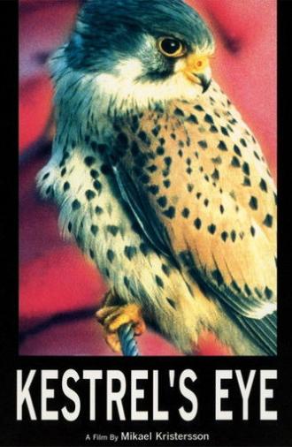 Kestrel's Eye (1998)