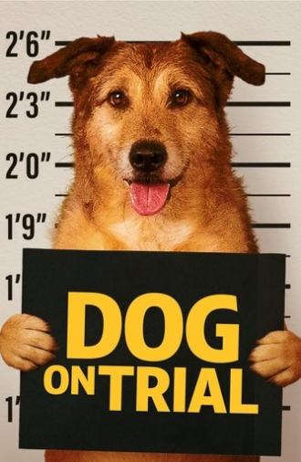 Dog on Trial (2024)