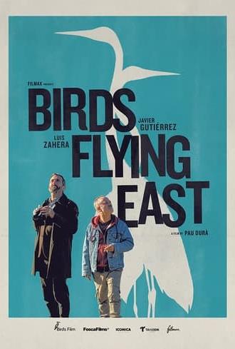 Birds Flying East (2024)