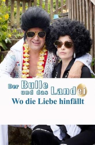 Der Bulle und das Landei - Wo die Liebe hinfällt (2015)