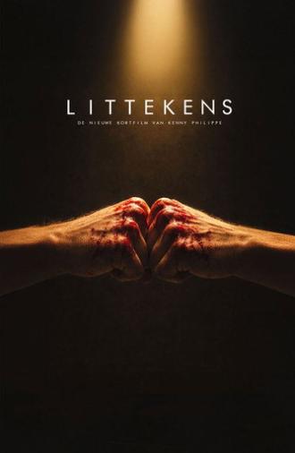 Littekens (2027)