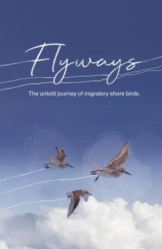 Flyways (2023)