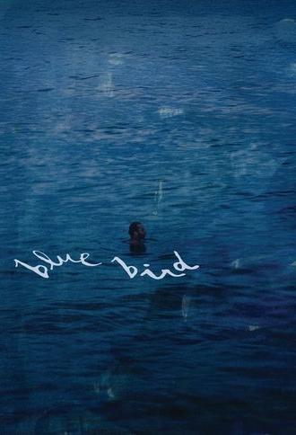 Blue Bird (2025)