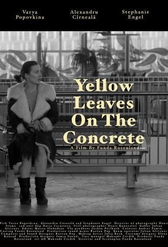 Yellow leaves on the concrete (2025)