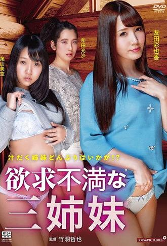 Shitsuren rankō: Tsuyu daku shimai donburi (2016)