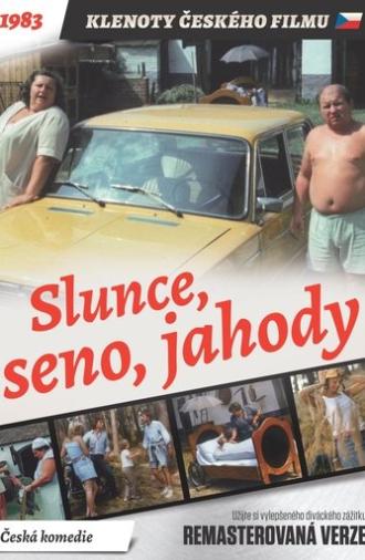 Sun, Hay, Berries (1984)