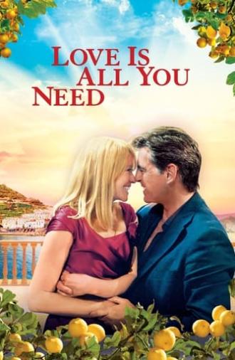 Love Is All You Need (2012)