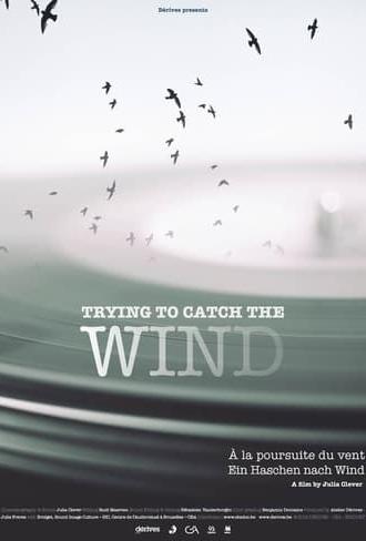 Trying to Catch the Wind (2018)