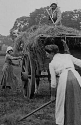 Women Hay Makers (1916)