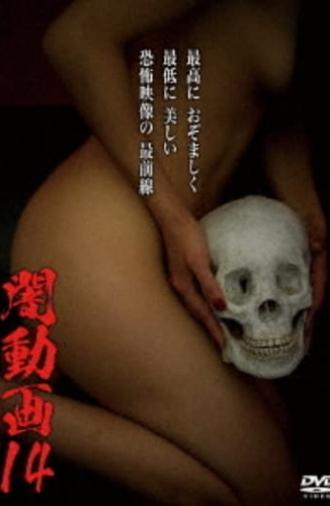 Tokyo Videos of Horror 14 (2016)