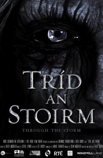 Through the Storm (2012)