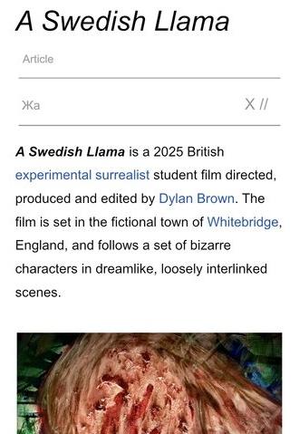 A Swedish Llama (2025)